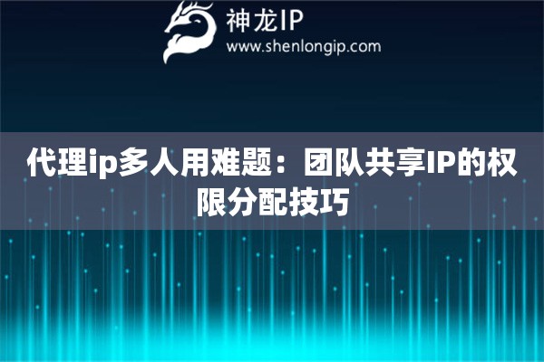 代理ip多人用難題：團隊共享IP的權限分配技巧