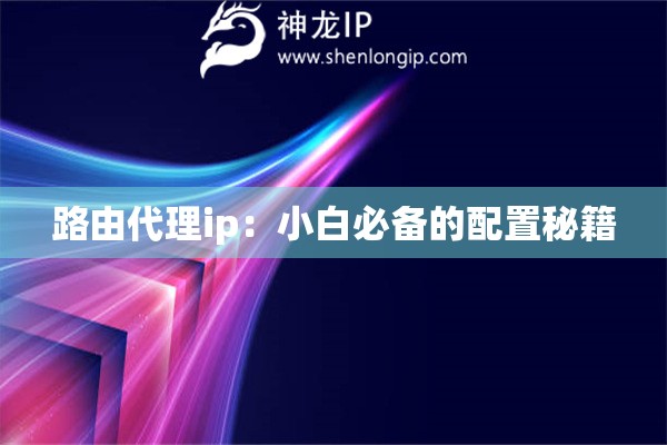 路由代理ip：小白必備的配置秘籍