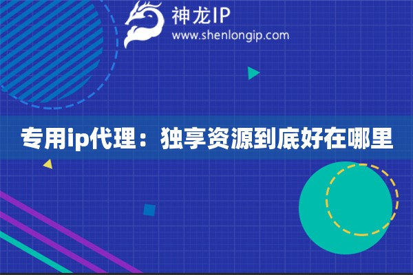 專用ip代理：獨(dú)享資源到底好在哪里