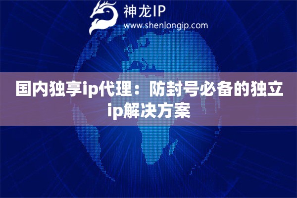 國(guó)內(nèi)獨(dú)享ip代理：防封號(hào)必備的獨(dú)立ip解決方案