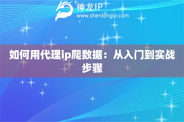 如何用代理ip爬數(shù)據(jù)：從入門到實(shí)戰(zhàn)步驟
