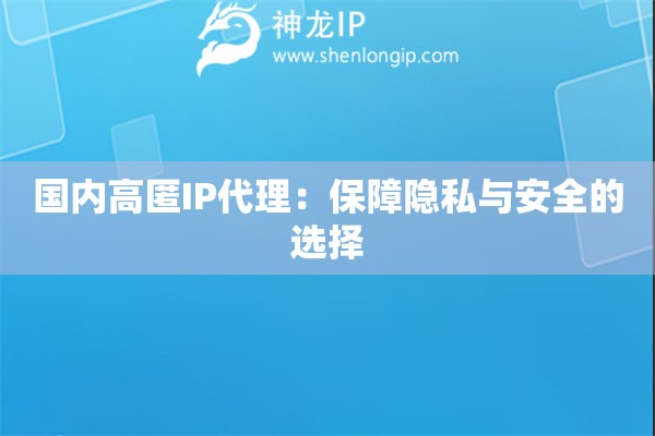國內高匿IP代理：保障隱私與安全的選擇