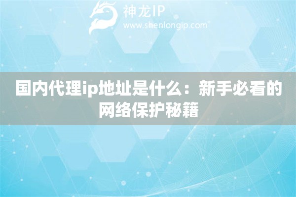 國(guó)內(nèi)代理ip地址是什么：新手必看的網(wǎng)絡(luò)保護(hù)秘籍