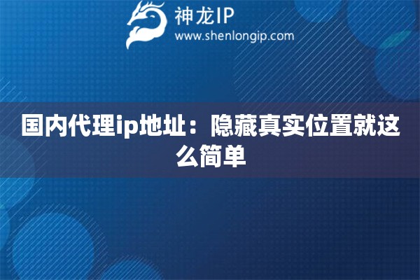 國內代理ip地址：隱藏真實位置就這么簡單