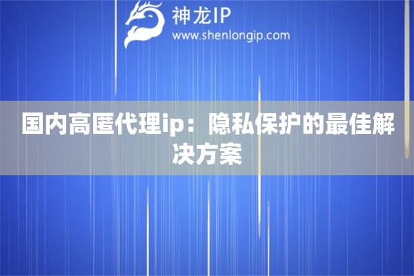 國內高匿代理ip：隱私保護的最佳解決方案