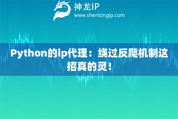 Python的ip代理：繞過反爬機(jī)制這招真的靈！