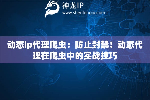 動態ip代理爬蟲：防止封禁！動態代理在爬蟲中的實戰技巧