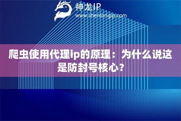 爬蟲(chóng)使用代理ip的原理：為什么說(shuō)這是防封號(hào)核心？
