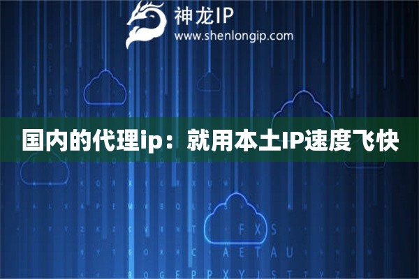 國內的代理ip：就用本土IP速度飛快