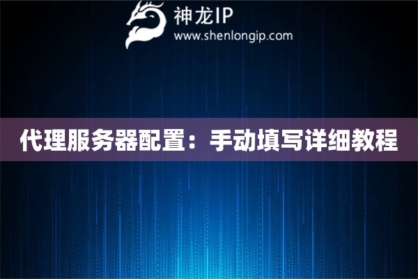 代理服務器配置：手動填寫詳細教程