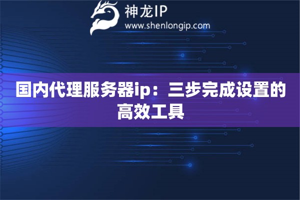 國內代理服務器ip：三步完成設置的高效工具