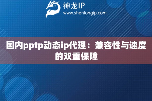 國內pptp動態ip代理：兼容性與速度的雙重保障