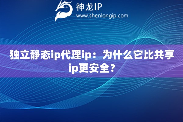 獨立靜態ip代理ip：為什么它比共享ip更安全？