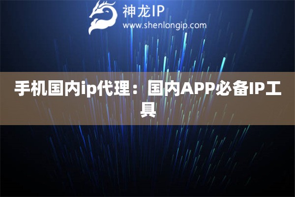 手機(jī)國內(nèi)ip代理：國內(nèi)APP必備IP工具