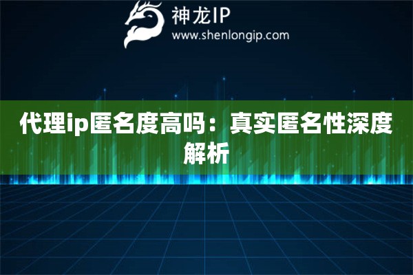 代理ip匿名度高嗎：真實匿名性深度解析