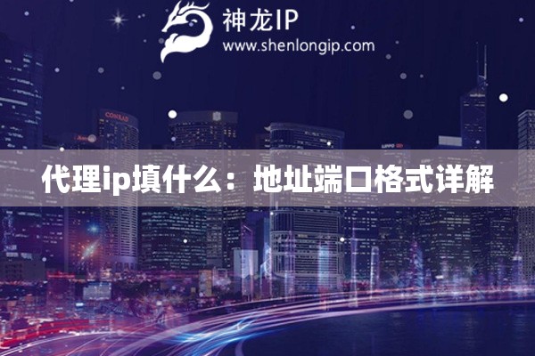 代理ip填什么：地址端口格式詳解