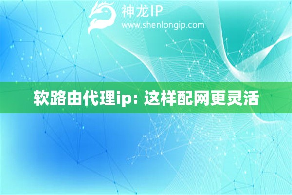 軟路由代理ip: 這樣配網更靈活