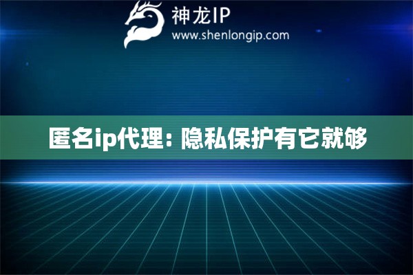 匿名ip代理: 隱私保護有它就夠