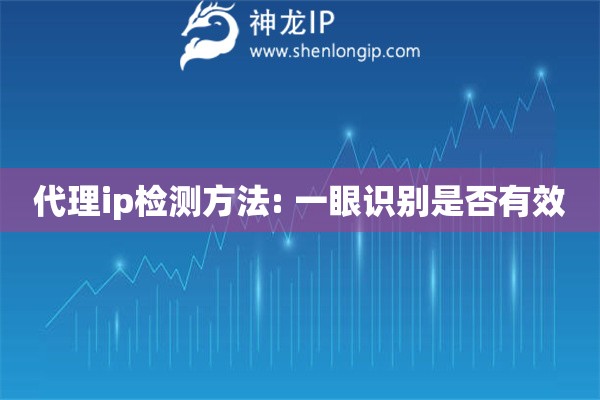 代理ip檢測方法: 一眼識別是否有效