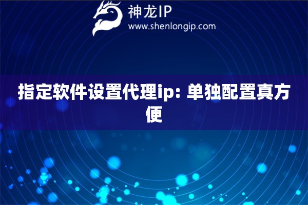 指定軟件設(shè)置代理ip: 單獨配置真方便