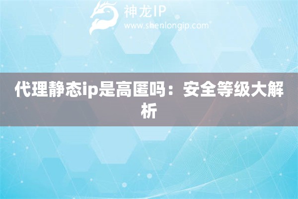 代理靜態ip是高匿嗎：安全等級大解析