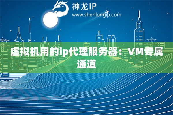 虛擬機用的ip代理服務器：VM專屬通道
