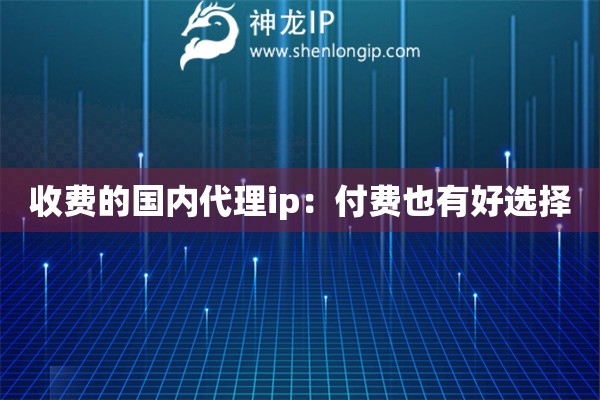 收費的國內代理ip：付費也有好選擇