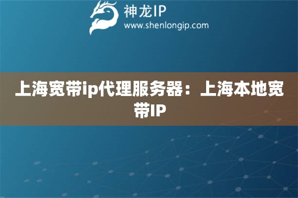 上海寬帶ip代理服務器：上海本地寬帶IP