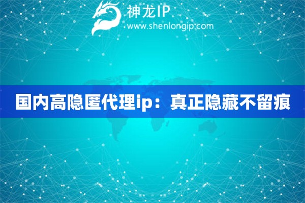 國內高隱匿代理ip：真正隱藏不留痕