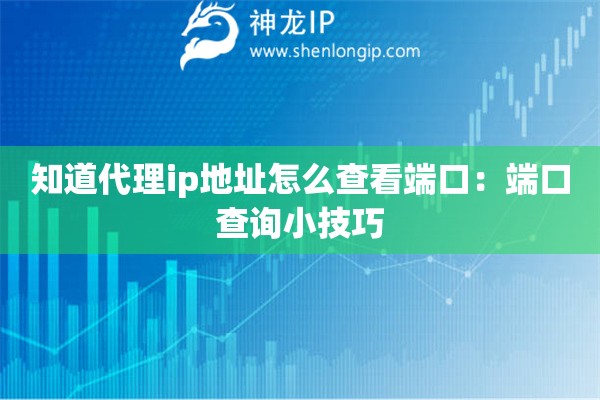 知道代理ip地址怎么查看端口：端口查詢小技巧