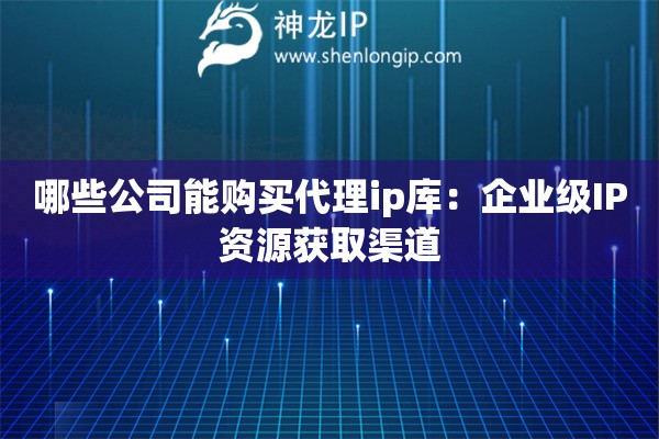 哪些公司能購買代理ip庫：企業(yè)級IP資源獲取渠道