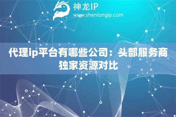代理ip平臺有哪些公司：頭部服務商獨家資源對比