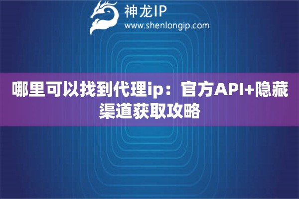 哪里可以找到代理ip：官方API+隱藏渠道獲取攻略