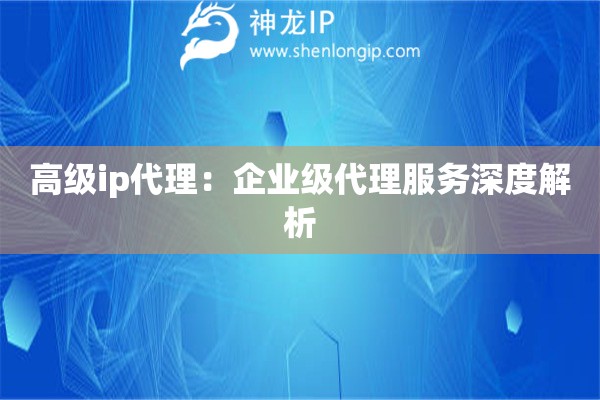 高級ip代理：企業(yè)級代理服務(wù)深度解析