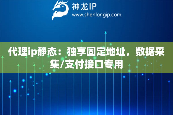 代理ip靜態(tài)：獨享固定地址，數(shù)據(jù)采集/支付接口專用
