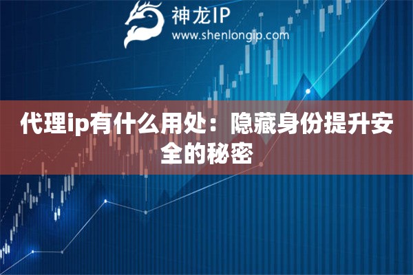 代理ip有什么用處：隱藏身份提升安全的秘密