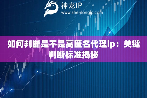 如何判斷是不是高匿名代理ip：關(guān)鍵判斷標(biāo)準(zhǔn)揭秘