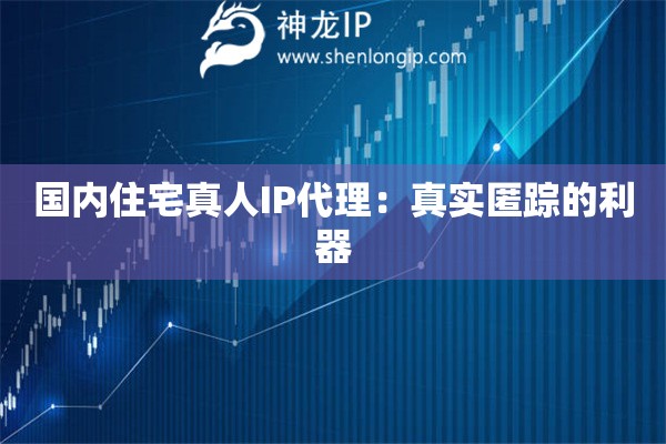 國(guó)內(nèi)住宅真人IP代理：真實(shí)匿蹤的利器