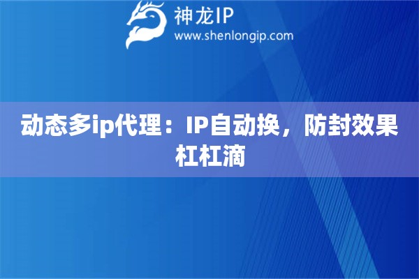 動態多ip代理：IP自動換，防封效果杠杠滴