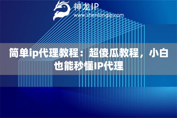 簡單ip代理教程：超傻瓜教程，小白也能秒懂IP代理