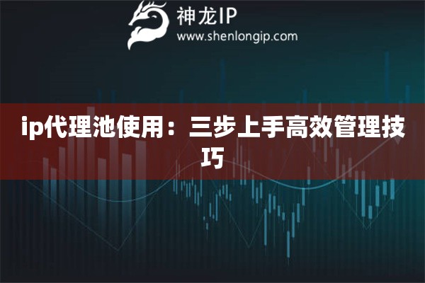 ip代理池使用：三步上手高效管理技巧