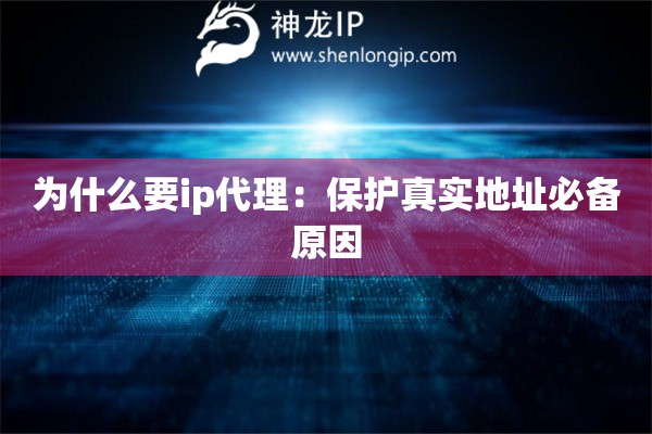 為什么要ip代理：保護真實地址必備原因