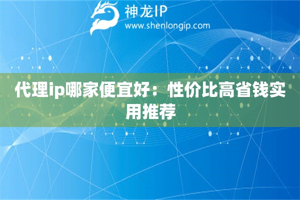 代理ip哪家便宜好：性價比高省錢實用推薦