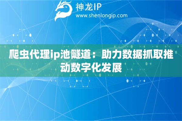 爬蟲代理ip池隧道：助力數據抓取推動數字化發展