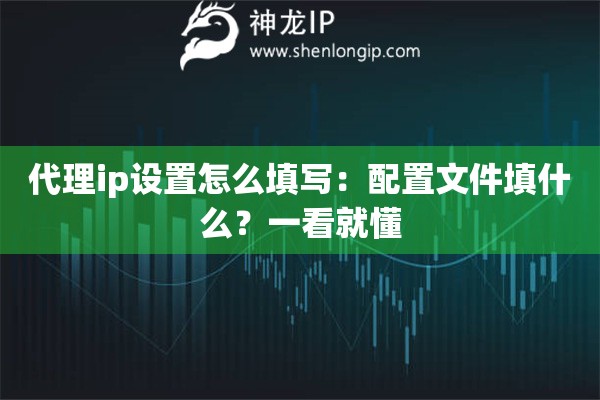 代理ip設置怎么填寫：配置文件填什么？一看就懂