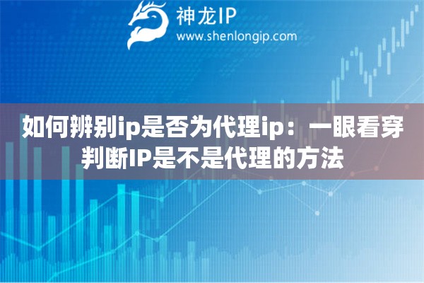 如何辨別ip是否為代理ip：一眼看穿判斷IP是不是代理的方法
