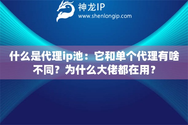 什么是代理ip池：它和單個代理有啥不同？為什么大佬都在用？