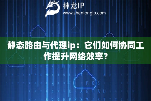 靜態路由與代理ip：它們如何協同工作提升網絡效率？
