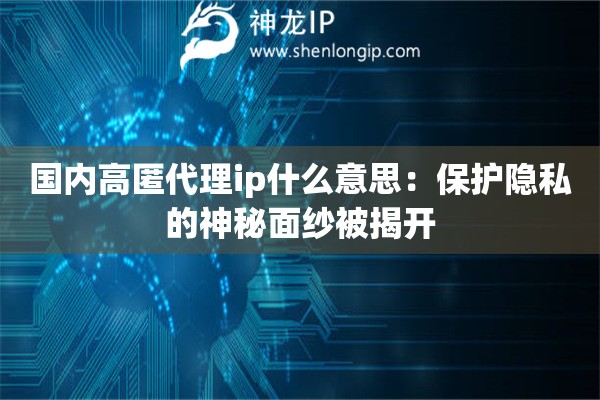 國內高匿代理ip什么意思：保護隱私的神秘面紗被揭開