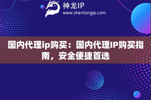 國(guó)內(nèi)代理ip購(gòu)買(mǎi)：國(guó)內(nèi)代理IP購(gòu)買(mǎi)指南，安全便捷首選